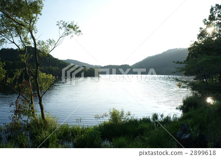 Gokatsuraike 2899618