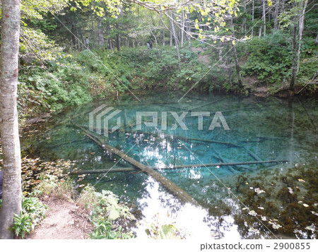 池塘 鹹水湖 莎麗區 2900855