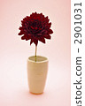 Hana Hitoshi Dahlia 2901031