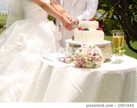 Wedding image 2901948