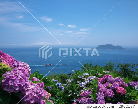 繡球花和海 繡球花和海 2902157