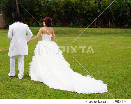 婚姻 婚姻 2902191