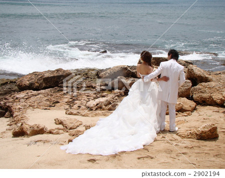 婚姻 婚姻 2902194