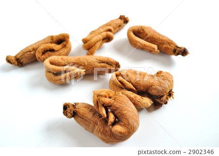 Ginseng Ginseng 2902346