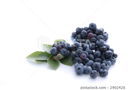 berries, berry, dessert 2902428