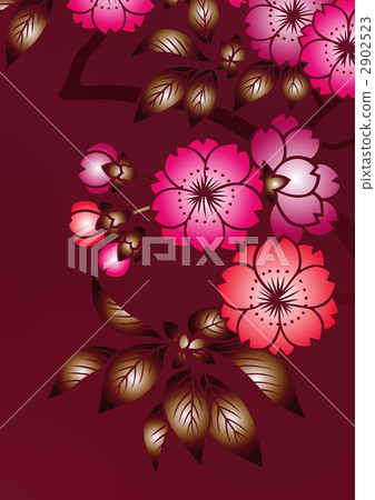 櫻花 花朵 花 2902523