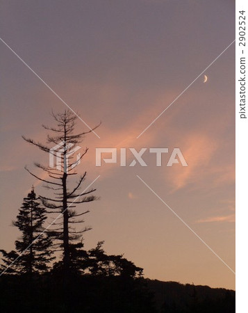 八幡平的晚上風景和月亮 八幡平的晚上風景和月亮 2902524