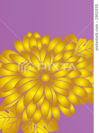 日式 日式圖案 花朵 2902850