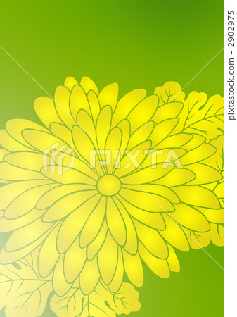 花瓣 花花瓣 數碼成像圖片 2902975