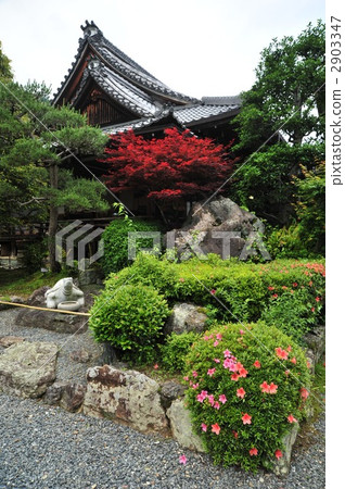 Kyoto Matsuo Taisha Shogun and Tortoise 2903347