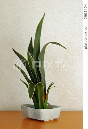 藍色藍色（主要） 2903404