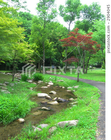 Walking path of Ogawa and side road (vertical cutting) 2904045