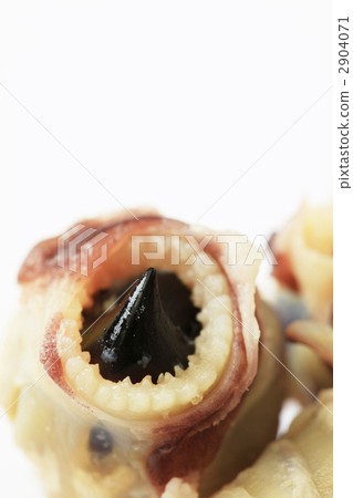 Delicacy · Squid's mouth Delicacy · Squid's mouth 2904071