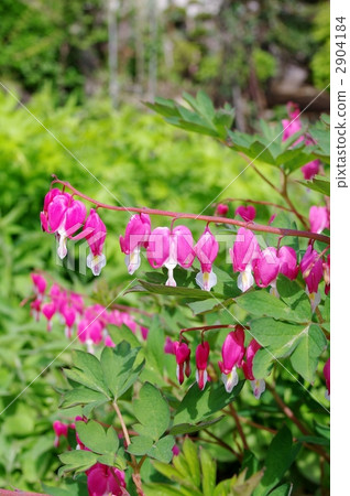 Tightspeare Tightspeare 2904184