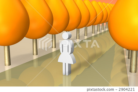 Fall trees in autumn 2904221