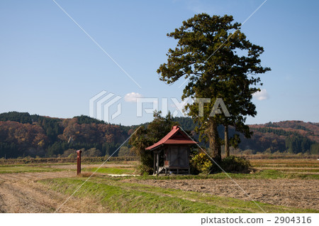 A shrine standing in the countryside 2904316