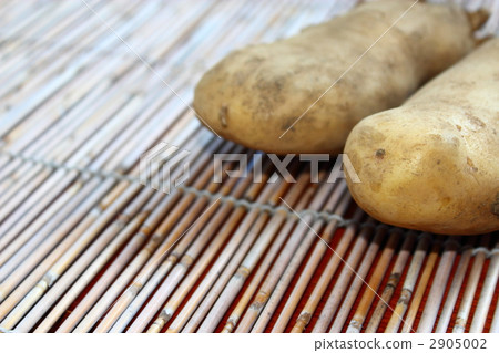 五月女王 2905002