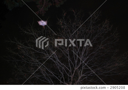 Glide of the mussel! 2905208