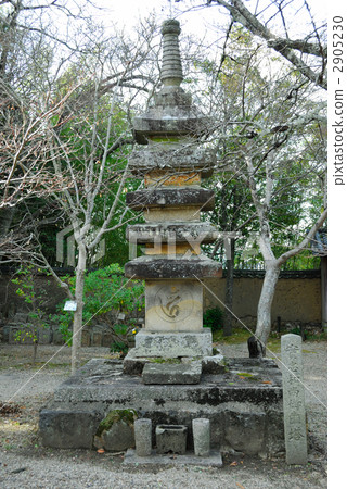 新的Yakushoji寺重塔 2905230