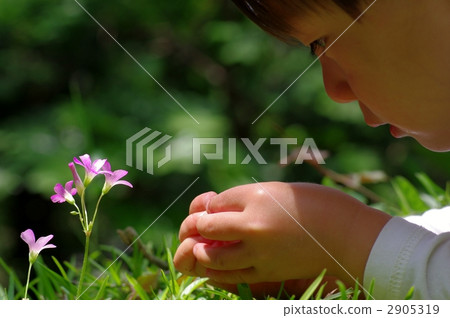 Suishi（Murasaki Katabi）和兒童的剪影 2905319