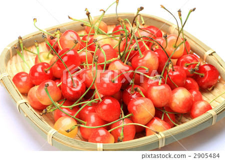 櫻桃 2905484