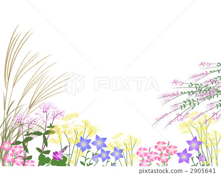 Autumn seven herbs 2905641