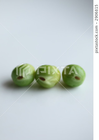 豆 青豆 豆子 2906815