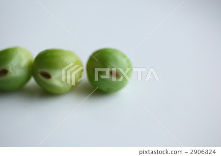 green peas, bean, beans 2906824