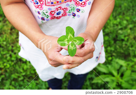 Happiness four leaves 2908706