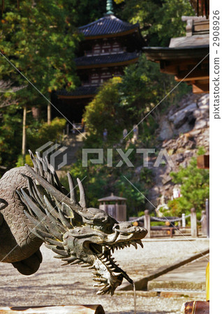 松尾寺的龍 2908926