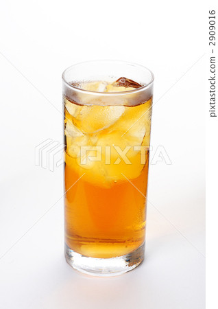 烏龍茶 2909016
