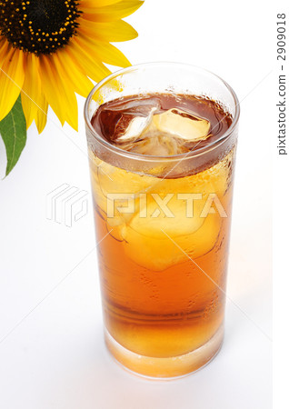 Oolong tea and sunflower 2909018
