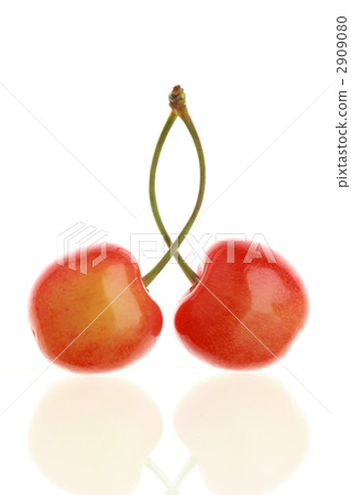 Sea cucumber (cherries) 2909080