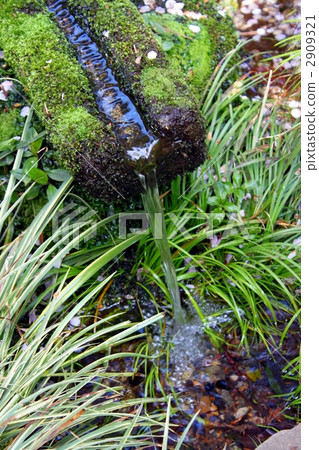 清水清泉噴泉 2909321