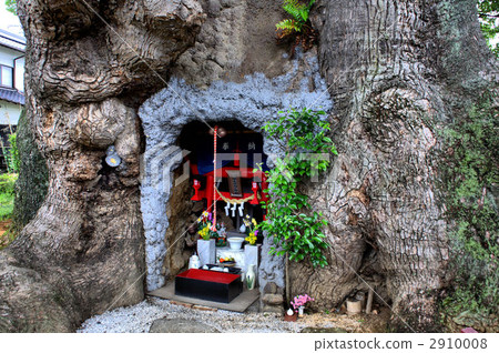 Ogasu of Kawabo Ogasu of Kawabo 2910008