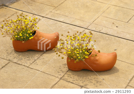 Flower shoes Flower shoes 2911293
