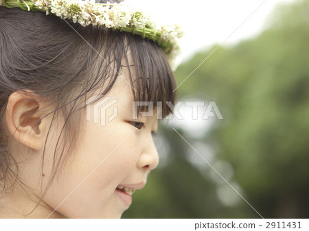 Floral decoration  2911431