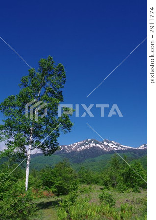 Shinshu Norikura初夏和Norikura Kogen高樺 Shinshu Norikura初夏和Norikura Kogen高樺 2911774