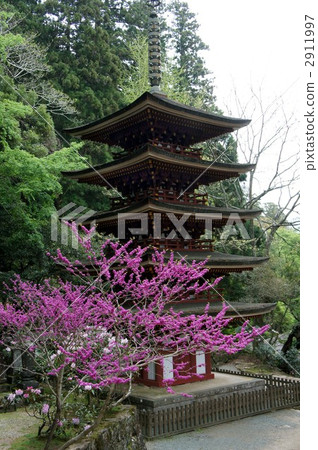 五重塔 重要文化財產 奈良縣 2911997