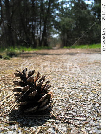 Pinecone Pinecone 2912137