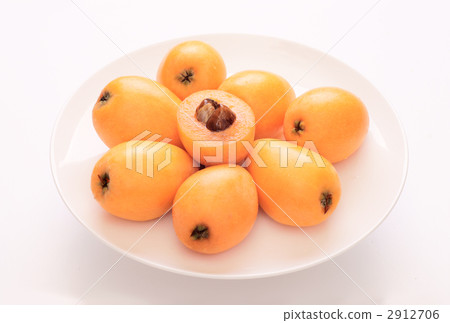 泡沫（Mogi物種） 2912706