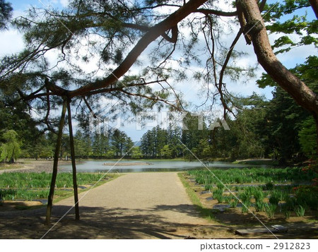 Hiraizumi Koshienji 2912823