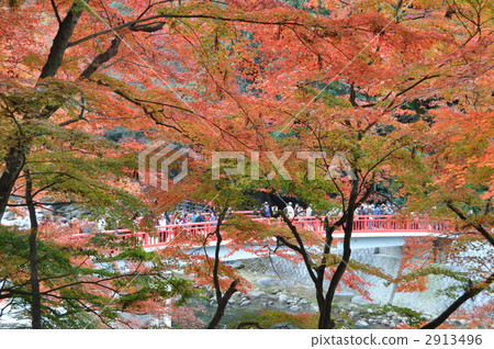 Fall of Konami River 2913496