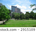 Boston Common Park 2915109