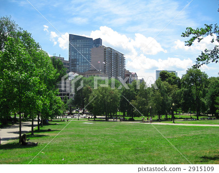 Boston Common Park 2915109