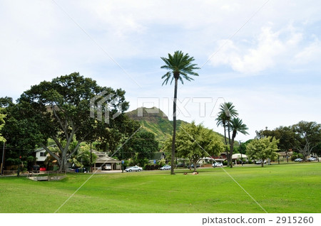 夏威夷的假期 2915260