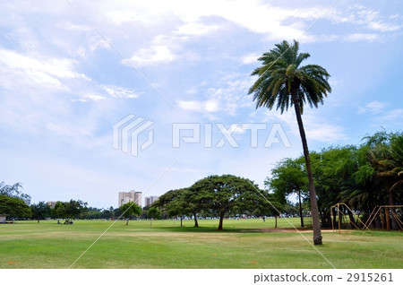 夏威夷的假期 2915261