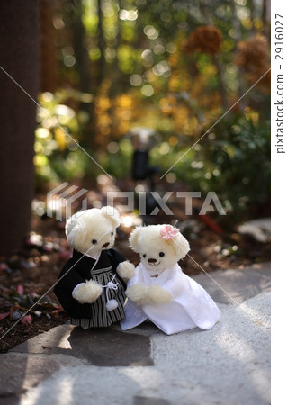 長毛絨 毛絨玩具 綠色背景 2916027