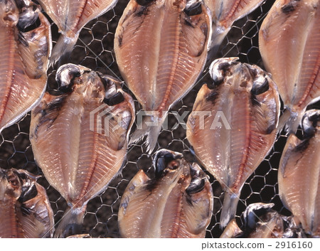 金槍魚 魚乾 食物 2916160