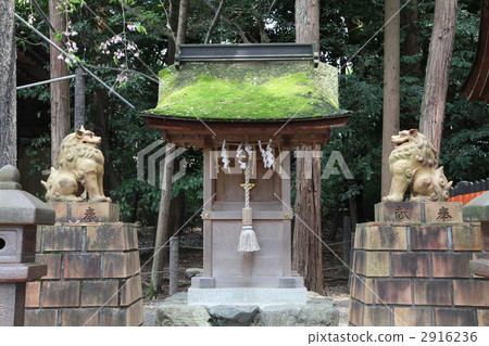 Tsuboza Taisha:位於Seta唐橋以東500米處 Tsuboza Taisha:位於Seta唐橋以東500米處 2916236